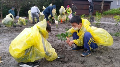 為下一代種樹 打造2618保安林綠色永續生活
